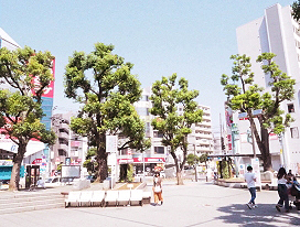 行徳