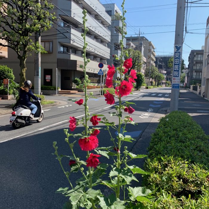 株式会社ニットー住宅　立葵