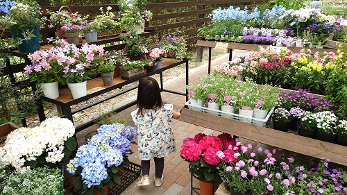 江戸川区の工務店ニットー住宅　園芸用品店