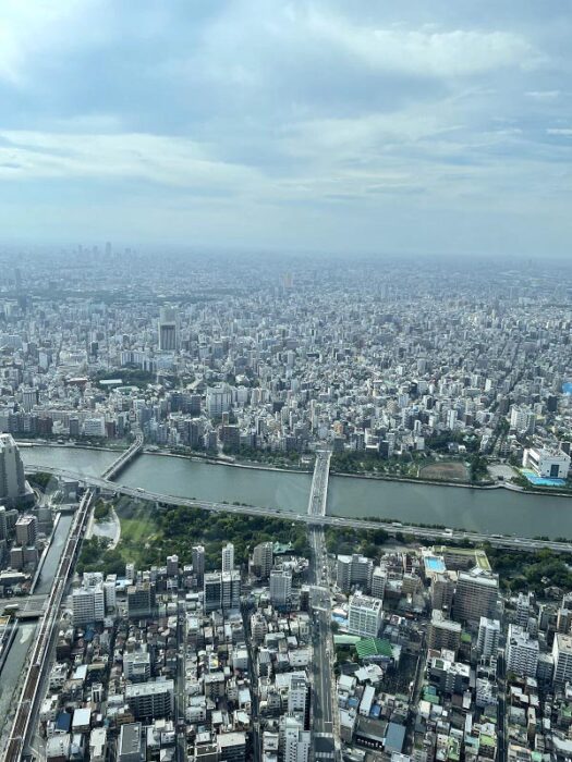 江戸川区で自然素材を使用した注文住宅を建てる工務店ニットー住宅のスタッフのブログ写真