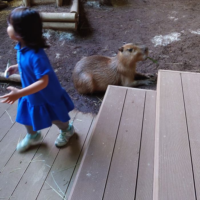 カワ水　江戸川区で自然素材の漆喰と無垢フローリングを標準仕様としてフルオーダーの木造注文住宅を得意とする工務店ニットー住